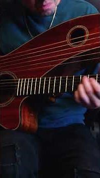 The Amazing Sound of a Harp Guitar