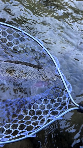 A Beautiful Bow Fishing Experience in Colorado