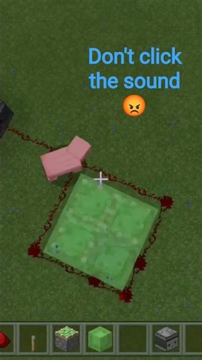 minecraft I made trampling 😎🫨🫨