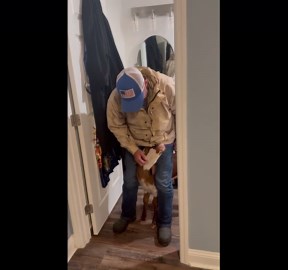 Man startled as playful calf nudges him indoors in Brooksville, Florida, USA