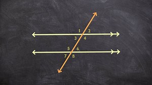 Geometry - Identifying angle relationships with a transversal