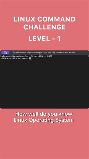 Linux Command Challenge That Will Make You a Pro