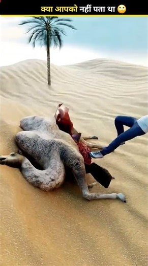 why this is danger after dead #facts