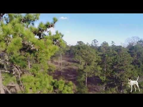 One of Most Prestigious of the Iconic Thomasville Quail Plantations