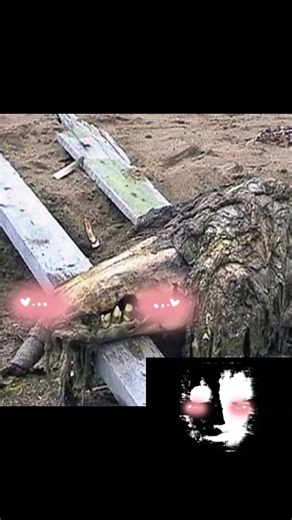 SCP-682 y SCP-079 SON "AMIGOS" #scp