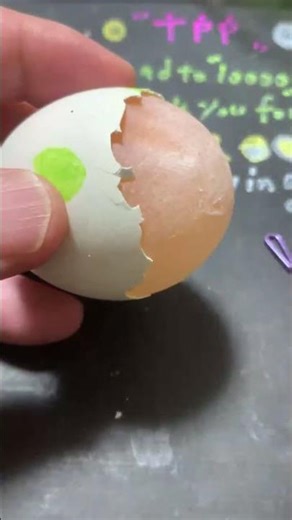 raw egg peeling！alien skill！TPP LIVE 15🕒️JST