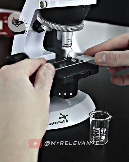 It Became Canon ☠️ #relevant #funfacts #epicmoments