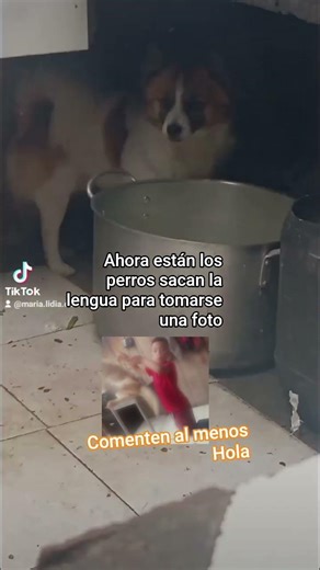 27 de febrero de 2026