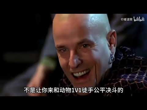 What Happens When a Human Faces a Wolf? Survival Tactics That Actually Work