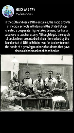 Medical Students Needed Bodies So Graves Were Emptied #education #facts #medmastery #medwiki#history