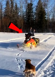 Impossible Becomes Hilarious😅😅 | Ray's Funny Page