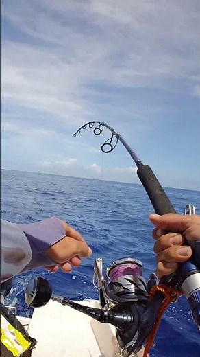 The Shimano TWINPOWER 10000 - Tuna fishing on Reunion Island #fishing #fish #pesca #troll