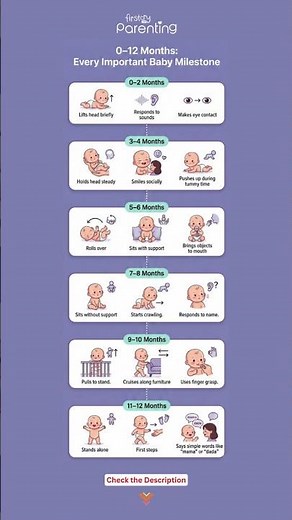 Key Baby Milestone (0–12 Months) | Baby Developmental Milestones