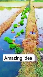 Galing naman #highlights | Ako ay magsasaka