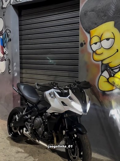 Triumph Tiger 660: Explore Features and Performance