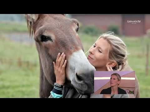 Diffusion en direct de Ushuaïa TV