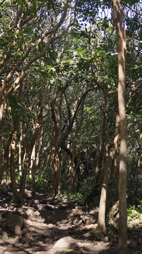 804K views | Press play on Headspace and get transported—anytime, anywhere. | Headspace | Facebook