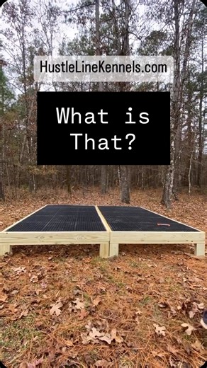 280 reactions · 20 shares | Check out more of our viral dog kennel...