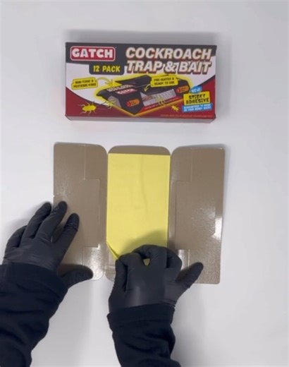 Watch GATCH Roach Traps Indoor ﹙12 Pack﹚, Sticky Cockroach Traps on Amazon Live