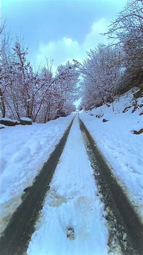 "Serene Snowy Landscapes"#nature #snow #mountains