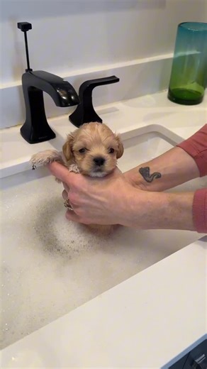 Cleft Rescue Unit (CRU) on Instagram: "Pretty sure Archie walks in poop so his foster mommy will give him bubble baths 🧼🛁🥰"