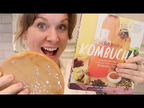 How to BREW YOUR OWN KOMBUCHA | how to MAKE KOMBUCHA at home | Kombucha Tea