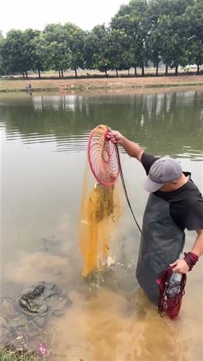 Casting nets to catch tilapia | China Fish Hunter Ep179