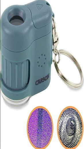 Discover the Carson MicroMini Microscope