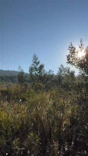 Your next breath of fresh air is waiting at Klapperkop Nature Reserve! 🌄🦓 Free entry at Johann Rissik Drive. Open daily 6am–6pm (gates close 5pm). Come walk, hike or run our amazing trails! Nature is calling, are you coming? | Friends of Groenkloof and Klapperkop Nature Reserves