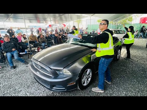 Connection Auto Auction Live Stream 11/21/25