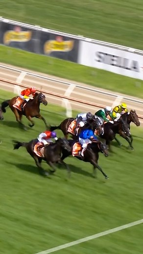 “Pounces, bombs them and wins!” 🚀 When Artorius descended on them in the 2021 Blue Diamond Stakes. | 7HorseRacing