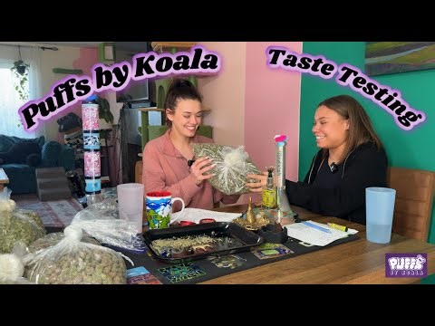 Puffs by Koala -Taste Testing