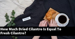 How Much Dried Cilantro Is Equal To Fresh Cilantro? - Outdoor Herb Garden