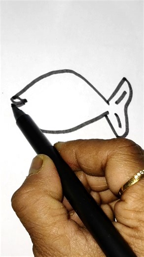 C D Drawing Tutorial on Instagram: "Fish Drawing #2026 #drawing #art #kidsactivities #artwork #artist"