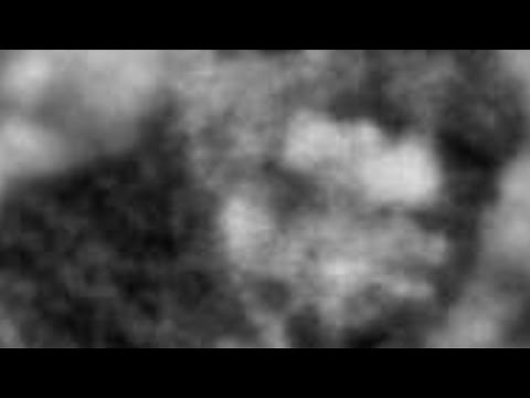 Bigfoot, Giants and Proof (ThinkerThunker)