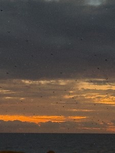 Stan Walker on Reels