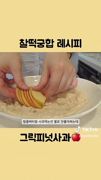 TikTok의 가띠GADI