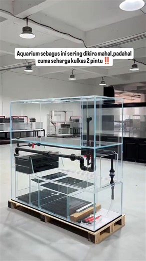 Akuarium #tank #aquarium | Putu Adi Putra