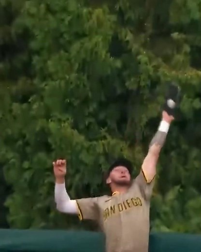 MLB Top Plays (pt 183): Jackson Merrill Robs HR vs Phillies #padres #mlb #baseball #topplays