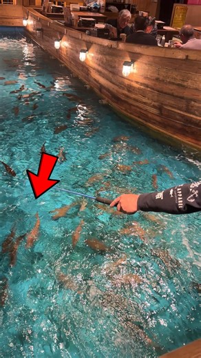 Fishing in a Restaurant Japan style 👀😂🎣 | Dixon's Fishing