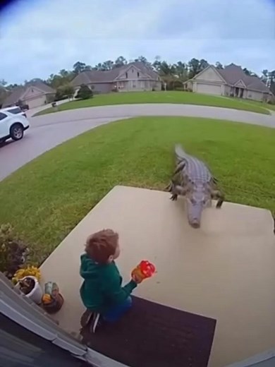 Give your Ring the gift of sight again! No more fog, false motion alerts, or soggy sensors. Just pure, dry, crystal-clear video, rain or shine. ✅ Easy & Quick install 💪 All-season protection, installs in seconds. 62mm fit for Ring 3/3 /4/Battery Plus. Confirm it fits your Ring Doorbell before purchase. | Ring Guard