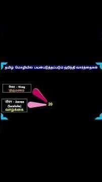 தமிழ் மொழியில் பயன்படுத்தப்படும் ஹிந்தி வார்த்தைகள் | Part 20 | #Shorts