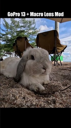 GoPro Hero 13 Black Macro Lens Mod