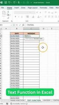 Text Function in Excel #officeskills #excel #wordpagenumbers