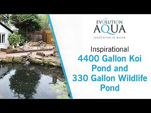 Evolution Aqua Nexus 320+ Automatic... 4400 Gallon Koi pond and 330 Gallon Natural Pond