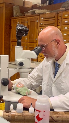 Hey, besties 👋💚💛! It’s me, Dr. Borrok — dean of the Missouri S&T College of Engineering and Computing 🚀📚. I’m geared up and locked in for the new semester! ⚙️🔒📖🔥 You with me? | Missouri S&T