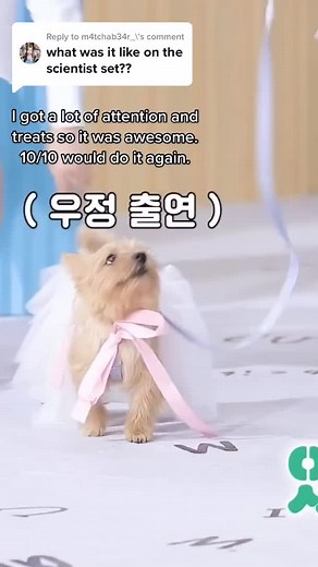 Amazing Experience Getting Attention and Treats!