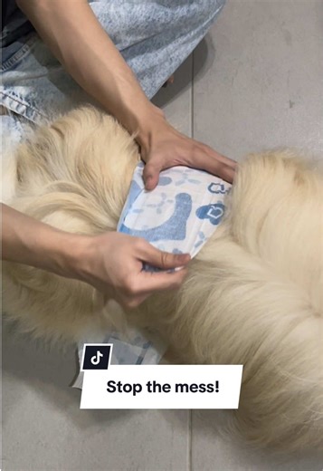 High-Efficiency Disposable Diapers for Male Dogs