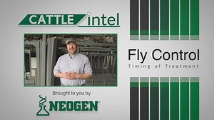 1.3K views | In this Cattle Intel, Dr. AJ Tarpoff guides you through...