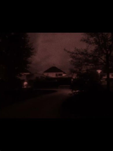 song: Clamp Trees - cats. #ambientmusic #aesthetic